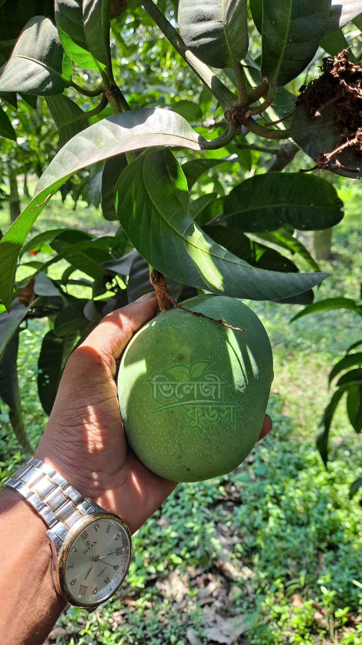 mango-8
